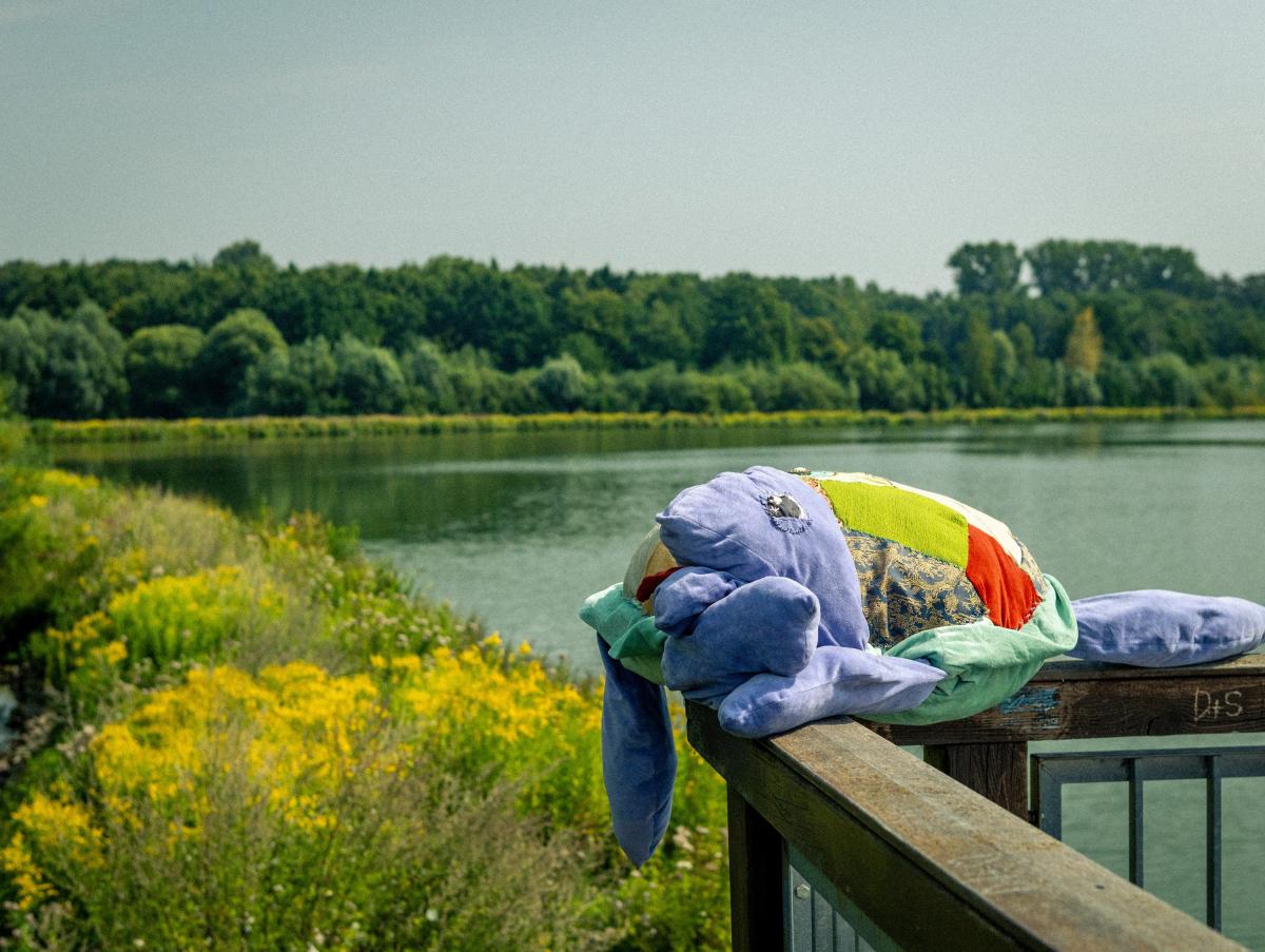 Bild zur Veranstaltung