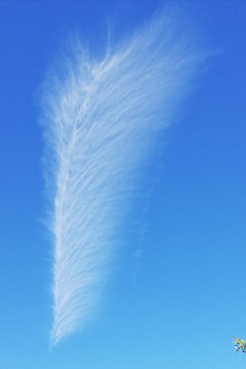 Bild zur Veranstaltung