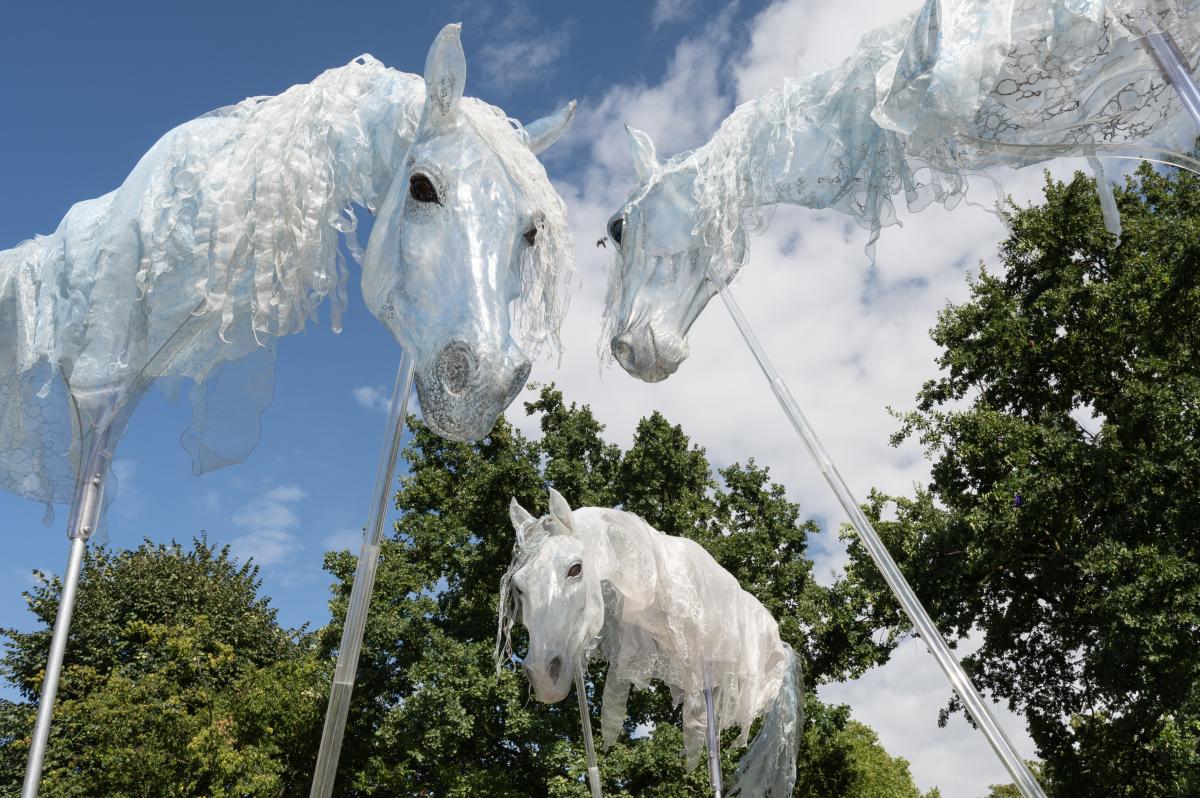 Bild zur Veranstaltung