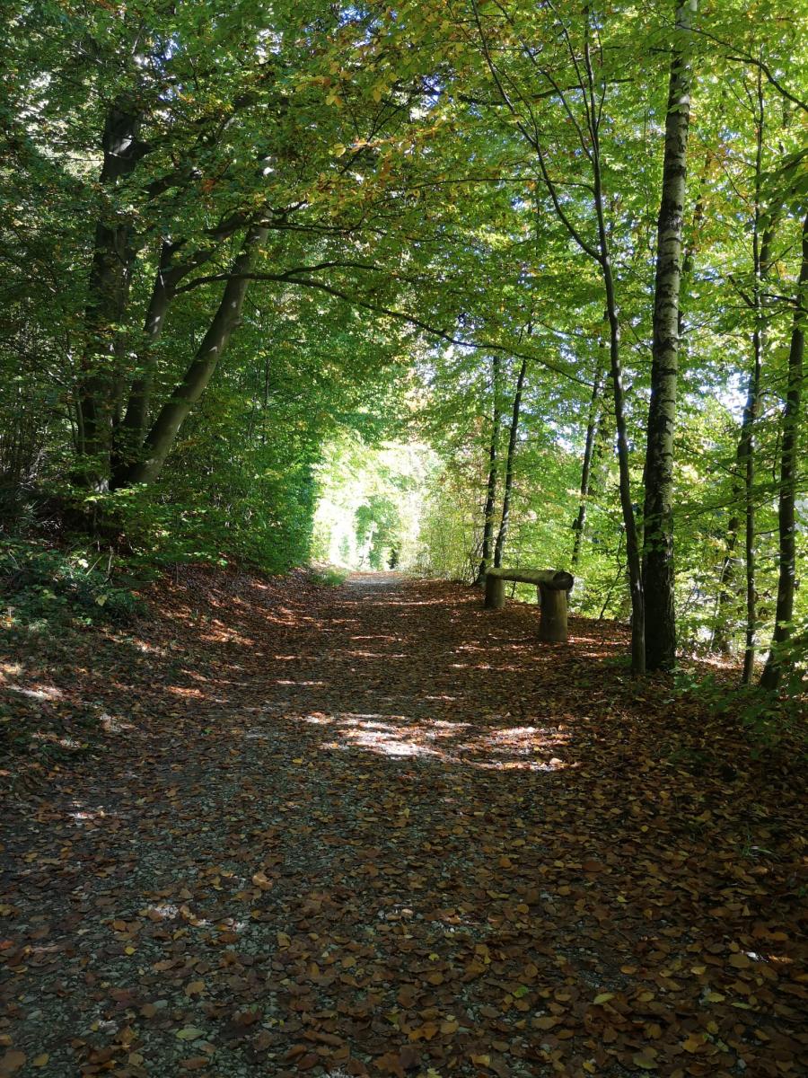 Bild zur Veranstaltung